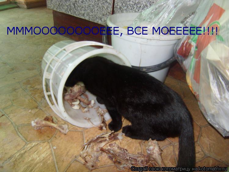 Котоматрица: МММООООООООЕЕЕ, ВСЕ МОЕЕЕЕЕ!!!!