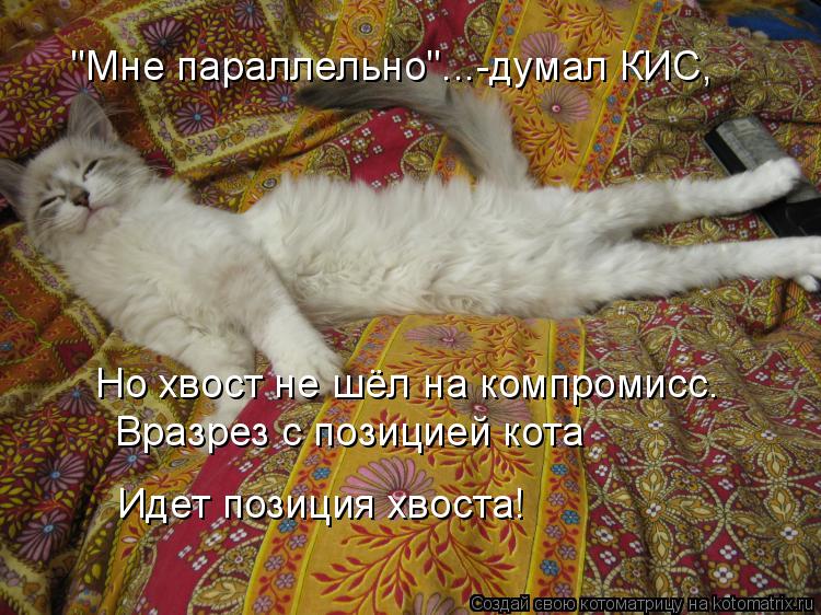 "Мне параллельно"...-думал КИС, Но хвост не шёл на компромисс. Вразрез с позицией кота Идет позиция х... Котоматрица: "Мне параллельно"...-думал КИС, Но хвост не шёл на компромисс. Вразрез с позицией кота Идет позиция хвоста!