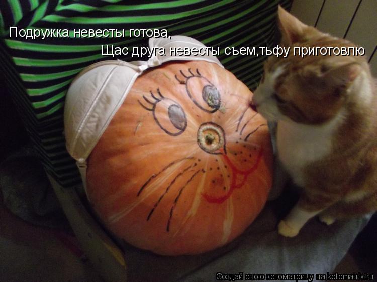 Котоматрица: Подружка невесты готова, Щас друга невесты съем,тьфу приготовлю