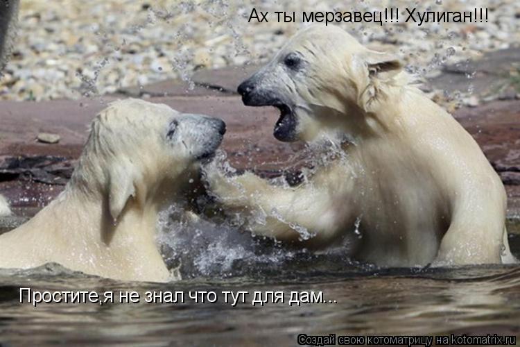 Котоматрица: Ах ты мерзавец!!! Хулиган!!! Простите,я не знал что тут для дам...