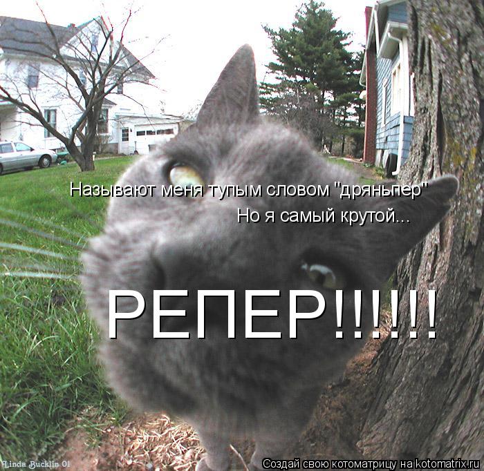 Котоматрица: Называют меня тупым словом "дряньпер" Но я самый крутой... РЕПЕР!!!!!!