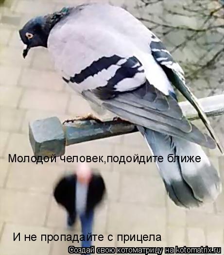 Молодой человек,подойдите ближе И не пропадайте с прицела... Котоматрица: Молодой человек,подойдите ближе И не пропадайте с прицела