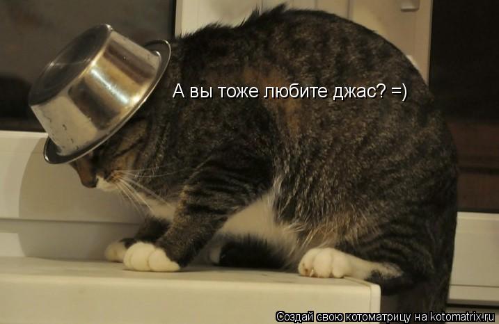 Котоматрица: А вы тоже любите джас? =)