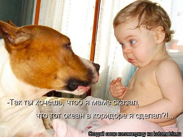 -Так ты хочешь, чтоб я маме сказал, что тот океан в коридоре я сделал?!...... Котоматрица: -Так ты хочешь, чтоб я маме сказал, что тот океан в коридоре я сделал?!...