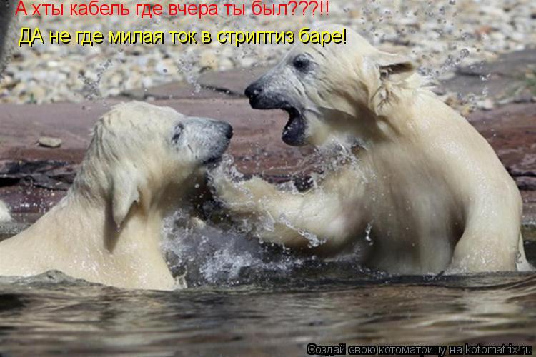 Котоматрица: А хты кабель где вчера ты был???!! ДА не где милая ток в стриптиз баре!