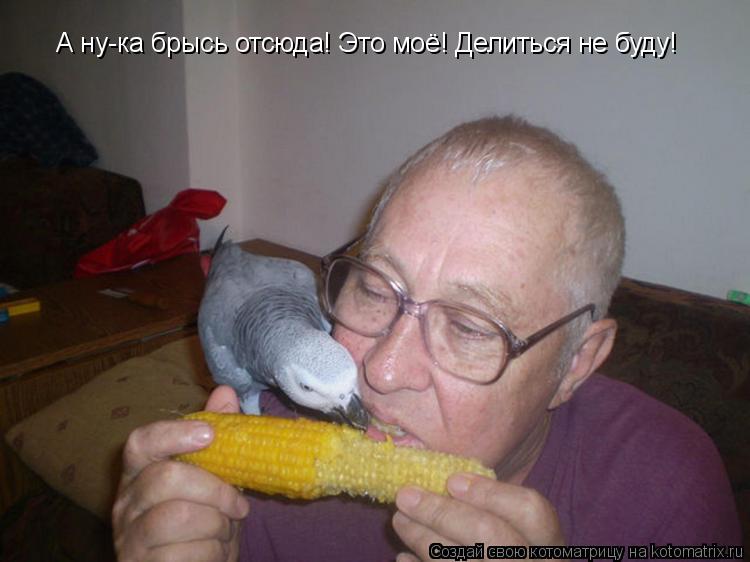 А ну-ка брысь отсюда! Это моё! Делиться не буду!... Котоматрица: А ну-ка брысь отсюда! Это моё! Делиться не буду!