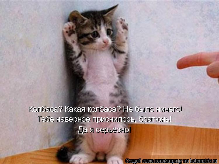 Колбаса? Какая колбаса? Не было ничего! Тебе наверное приснилось, братюнь! Колбаса? Какая колбаса? Не... Котоматрица: Колбаса? Какая колбаса? Не было ничего! Тебе наверное приснилось, братюнь! Колбаса? Какая колбаса? Не было ничего! Тебе наверное приснилось,