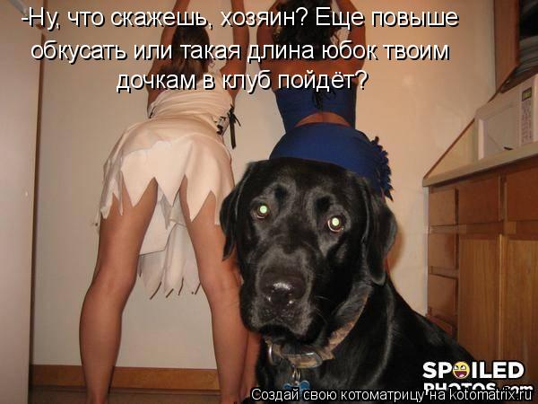 Котоматрица: -Ну, что скажешь, хозяин? Еще повыше обкусать или такая длина юбок твоим дочкам в клуб пойдёт?