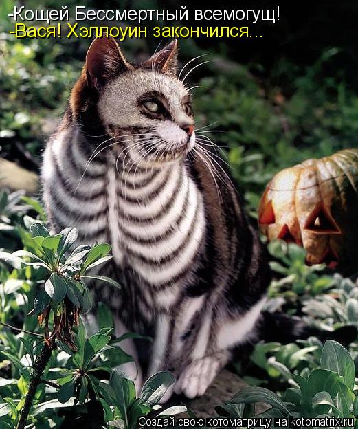 -Кощей Бессмертный всемогущ! -Вася! Хэллоуин закончился...... Котоматрица: -Кощей Бессмертный всемогущ! -Вася! Хэллоуин закончился...
