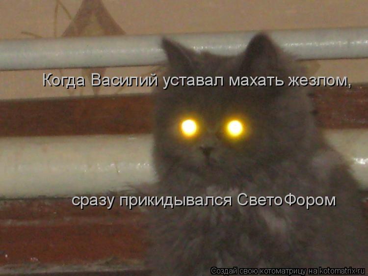 Когда Василий уставал махать жезлом, сразу прикидывался СветоФором... Котоматрица: Когда Василий уставал махать жезлом, сразу прикидывался СветоФором