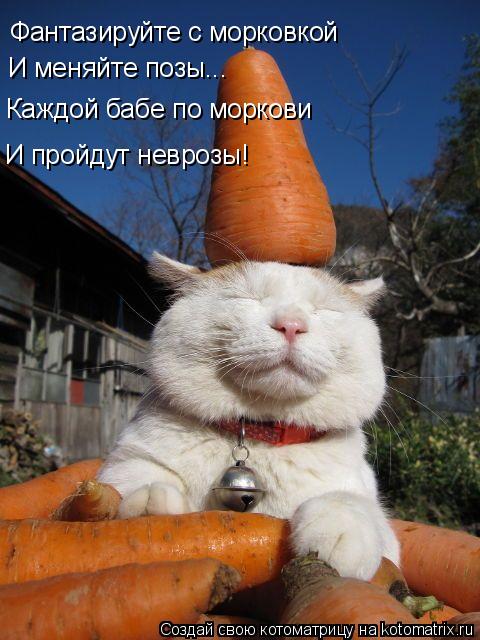 Фантазируйте с морковкой И меняйте позы... Каждой бабе по моркови И пройдут неврозы!... Котоматрица: Фантазируйте с морковкой И меняйте позы... Каждой бабе по моркови И пройдут неврозы!