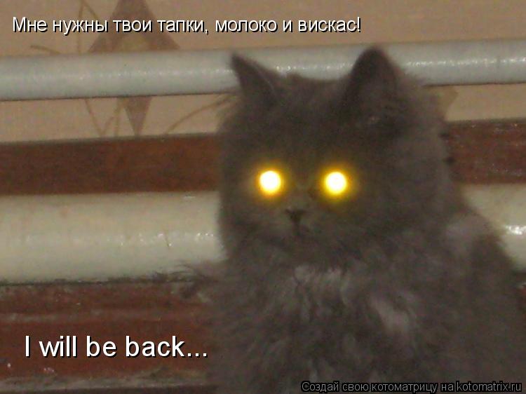 Мне нужны твои тапки, молоко и вискас! I will be back...... Котоматрица: Мне нужны твои тапки, молоко и вискас! I will be back...