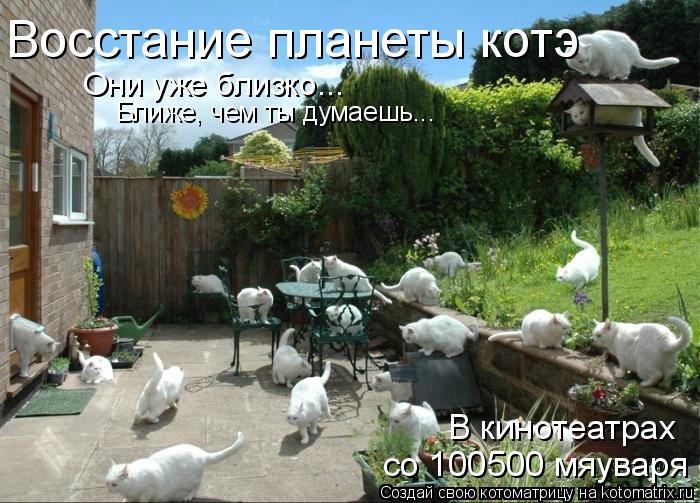 В кинотеатрах со 100500 мяуваря Они уже близко... Восстание планеты котэ Ближе, чем ты думаешь...... Котоматрица: В кинотеатрах со 100500 мяуваря Они уже близко... Восстание планеты котэ Ближе, чем ты думаешь...