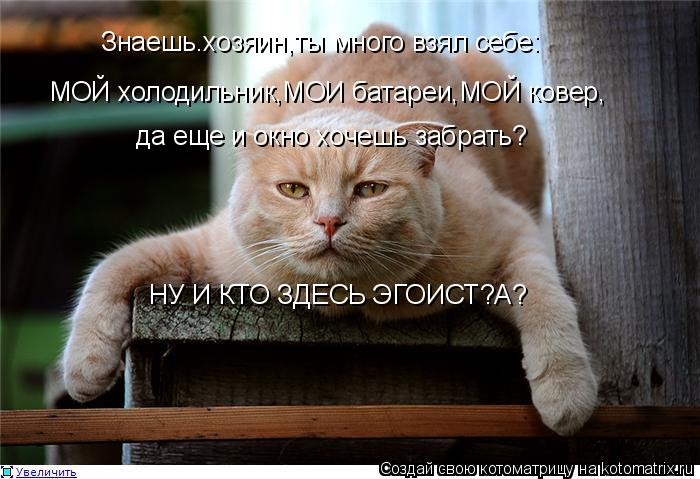 Знаешь.хозяин,ты много взял себе: МОЙ холодильник,МОИ батареи,МОЙ ковер, да еще и окно хочешь забрать... Котоматрица: Знаешь.хозяин,ты много взял себе: МОЙ холодильник,МОИ батареи,МОЙ ковер, да еще и окно хочешь забрать? НУ И КТО ЗДЕСЬ ЭГОИСТ?А?