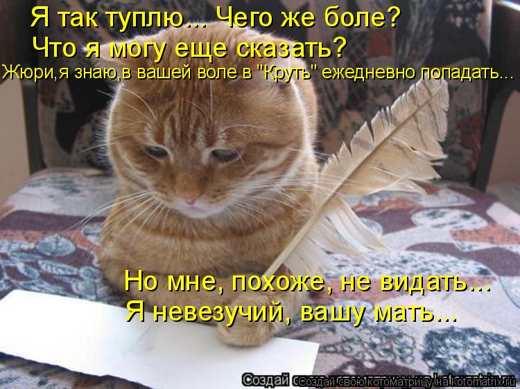 Котоматрица: Я так туплю... Чего же боле?  Что я могу еще сказать?  Жюри,я знаю,в вашей воле в "Круть" ежедневно попадать... Но мне, похоже, не видать... Я невезу