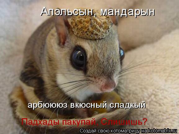 Апэльсын, мандарын арбюююз вкюсный сладкый Падхады пакупай, Слишишь?... Котоматрица: Апэльсын, мандарын арбюююз вкюсный сладкый Падхады пакупай, Слишишь?