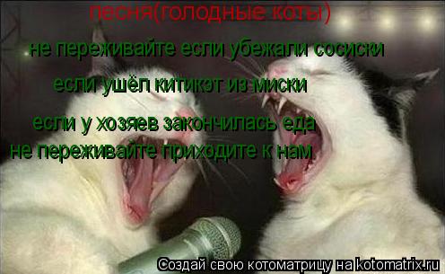 Котоматрица: песня(голодные коты) не переживайте если убежали сосиски  если ушёл китикэт из миски если у хозяев закончилась еда не переживайте приходит