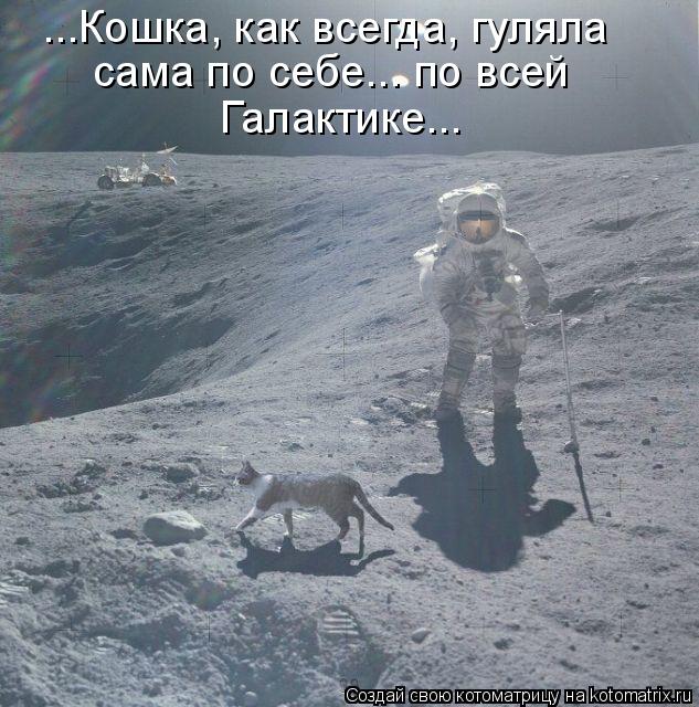 Котоматрица: ...Кошка, как всегда, гуляла сама по себе... по всей Галактике...