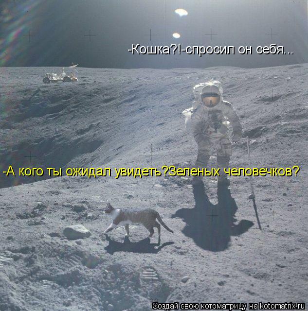 Котоматрица: -Кошка?!-спросил он себя... -А кого ты ожидал увидеть?Зеленых человечков?