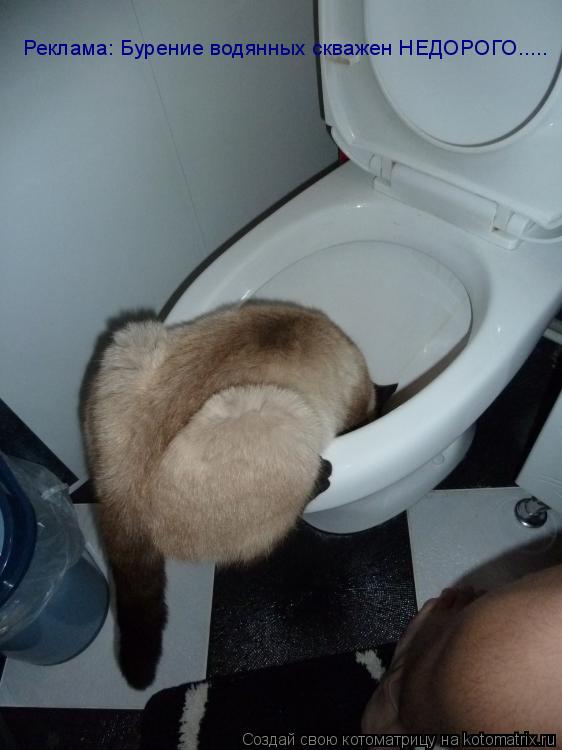 Котоматрица: Реклама: Бурение водянных скважен НЕДОРОГО.....