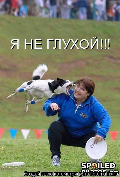 Котоматрица: Я НЕ ГЛУХОЙ!!!