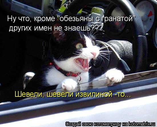 Котоматрица: Ну что, кроме "обезьяны с гранатой"  других имен не знаешь??? Шевели, шевели извилиной -то...