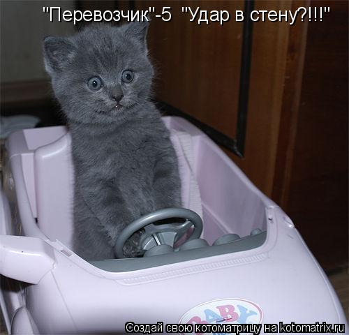 Котоматрица: "Перевозчик"-5  "Удар в стену?!!!"