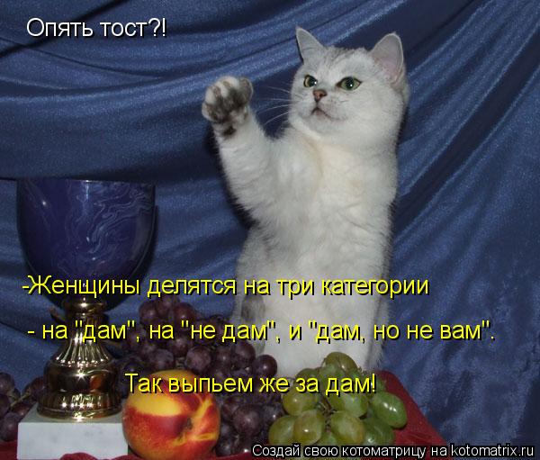 Котоматрица: Опять тост?! -Женщины делятся на три категории  - на "дам", на "не дам", и "дам, но не вам". Так выпьем же за дам!