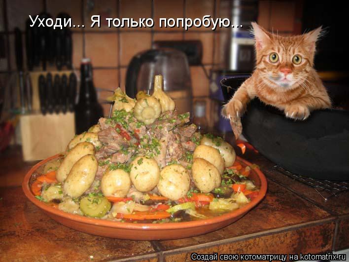 Котоматрица: Уходи... Я только попробую...