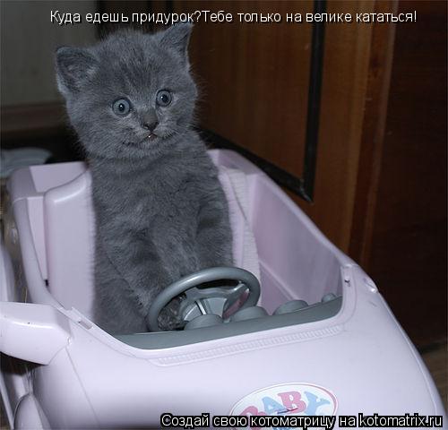 Котоматрица: Куда едешь придурок?Тебе только на велике кататься!