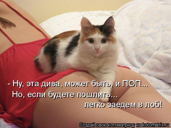Котоматрица: - Ну, эта дива, может быть, и ПОП... Но, если будете пошлить... легко заедем в лоб!