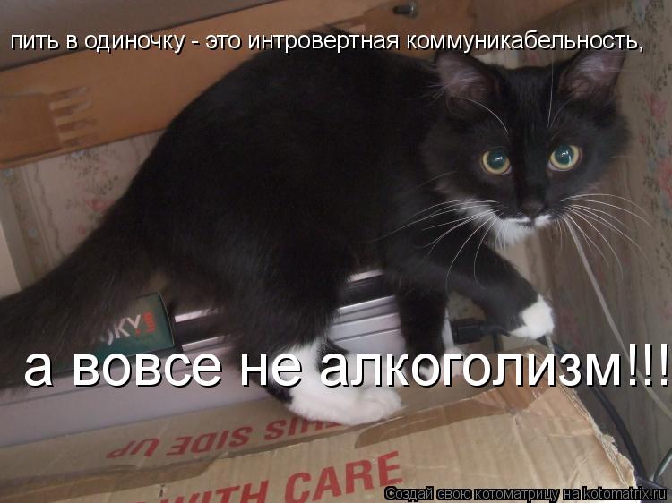 Котоматрица: пить в одиночку - это интровертная коммуникабельность,  а вовсе не алкоголизм!!!!!!