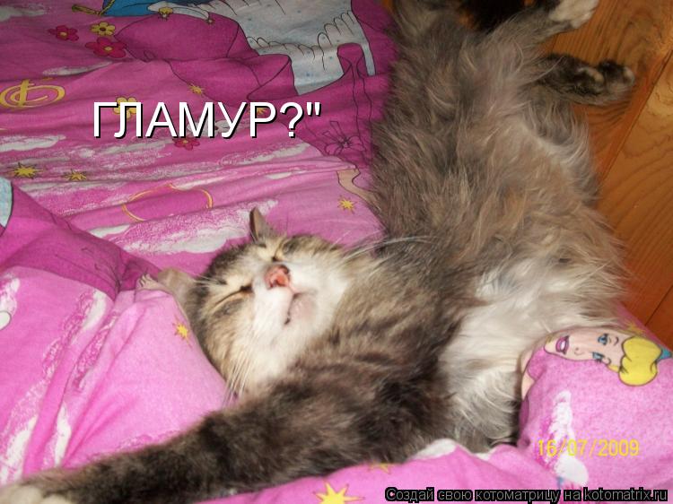 Котоматрица: ГЛАМУР?"