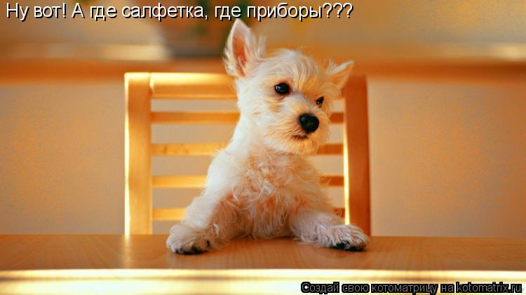 Котоматрица: Ну вот! А где салфетка, где приборы???