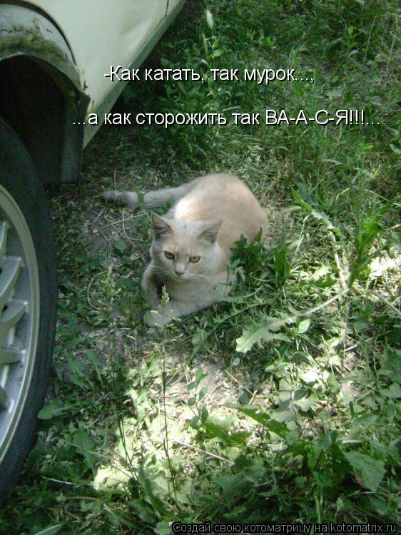 Котоматрица: -Как катать, так мурок..., ...а как сторожить так ВА-А-С-Я!!!...