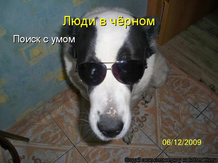 Котоматрица: Люди в чёрном Поиск с умом