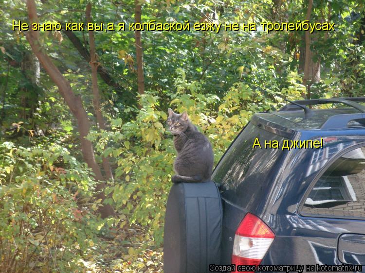 Котоматрица: Не знаю как вы,а я колбаской езжу не на тролейбусах А на джипе!