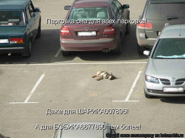 Котоматрица: Парковка она для всех парковка! Даже для ШАРИКА007896! А для БОБИКА6677890 тем более!