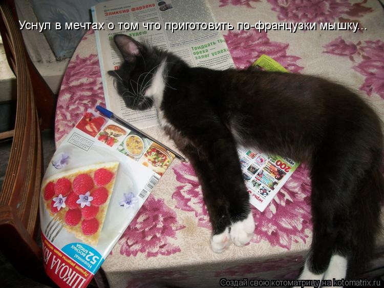 Котоматрица: Уснул в мечтах о том что приготовить по-французки мышку...