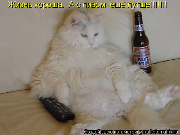 Котоматрица: Жизнь хороша...А с пивом  ешё лутше!!!!!!!