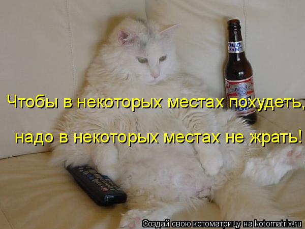 Котоматрица: Чтобы в некоторых местах похудеть,  надо в некоторых местах не жрать!