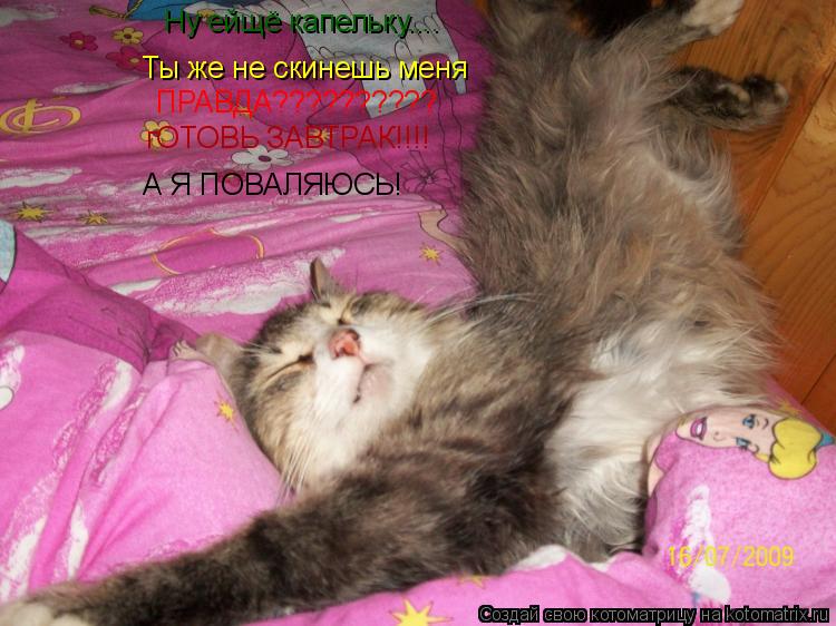 Котоматрица: Ну ейщё капельку.... Ты же не скинешь меня ПРАВДА?????????? гОТОВЬ ЗАВТРАК!!!! А Я ПОВАЛЯЮСЬ!