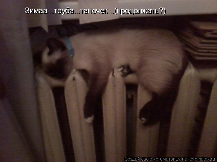 Котоматрица: Зимаа...труба...тапочек...(продолжать?)