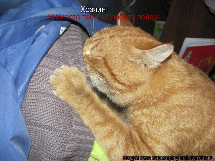 Котоматрица: Хозяин! Я вместо тебя на работу пойду!