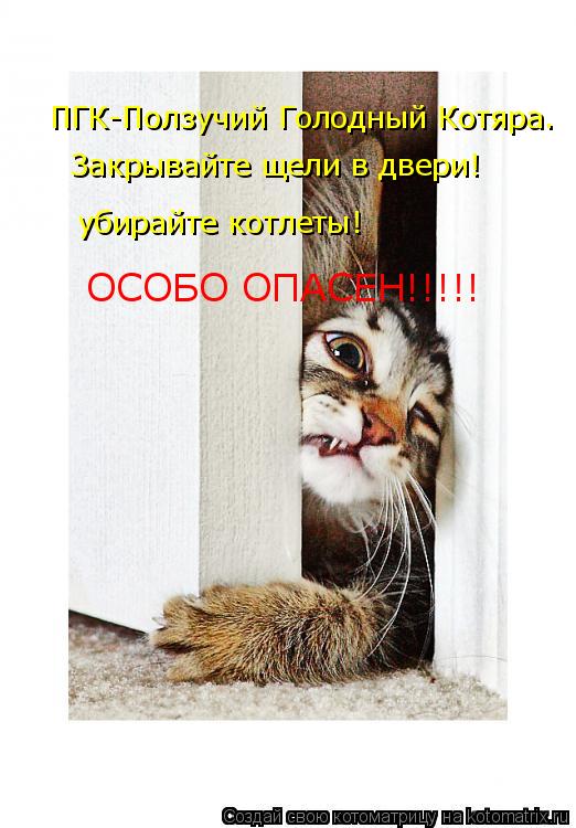 ПГК-Ползучий Голодный Котяра. Закрывайте щели в двери! убирайте котлеты! ОСОБО ОПАСЕН!!!!!... Котоматрица: ПГК-Ползучий Голодный Котяра. Закрывайте щели в двери! убирайте котлеты! ОСОБО ОПАСЕН!!!!!