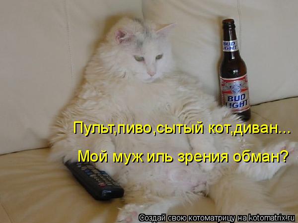 Пульт,пиво,сытый кот,диван... Мой муж иль зрения обман?... Котоматрица: Пульт,пиво,сытый кот,диван... Мой муж иль зрения обман?