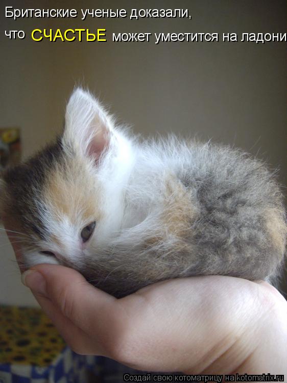 СЧАСТЬЕ Британские ученые доказали, что может уместится на ладони... Котоматрица: СЧАСТЬЕ Британские ученые доказали, что может уместится на ладони