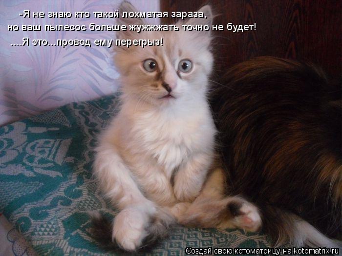 -Я не знаю кто такой лохматая зараза, но ваш пылесос больше жужжжать точно не будет! ....Я это...пров... Котоматрица: -Я не знаю кто такой лохматая зараза, но ваш пылесос больше жужжжать точно не будет! ....Я это...провод ему перегрыз!