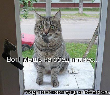 Вот! Мышь на обед принес...... Котоматрица: Вот! Мышь на обед принес...