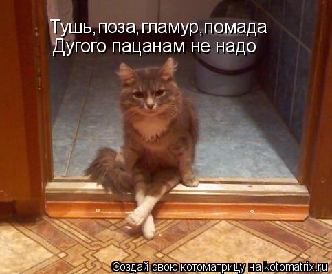 Тушь,поза,гламур,помада Дугого пацанам не надо... Котоматрица: Тушь,поза,гламур,помада Дугого пацанам не надо